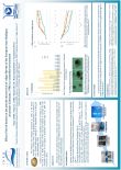 Effect of larval density on the growth and survival of veliger larvae of the European clam Ruditapes decussatus (Linnaeus, 1758) in a controlled environment